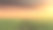 美丽的日落大豆草地全景素材图片