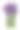 薰衣草花孤立的白色背景素材图片