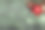 圣诞树，装饰以一颗红星和一个苹果在绿色的背景。俯视图，复制空间素材图片