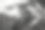 黑白相间的喜马拉雅山马察普赫雷鱼尾素材图片