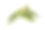 十指夫人或秋葵。白色的孤立的背景。空间的文本素材图片