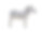 侧面格里维斯斑马孤立在白色素材图片