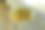 黄色河豚的特写素材图片