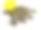 老虎虾柠檬孤立在白色背景素材图片