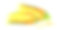 玉米棒。水彩素材图片