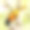 巴尔的摩黄鹂(巴尔的摩黄疸)素材图片