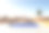 沙漠全景，棕榈树和游泳池，3d渲染素材图片
