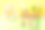 黄绿色背景上的中秋节月饼、莲花和白云满月素材图片