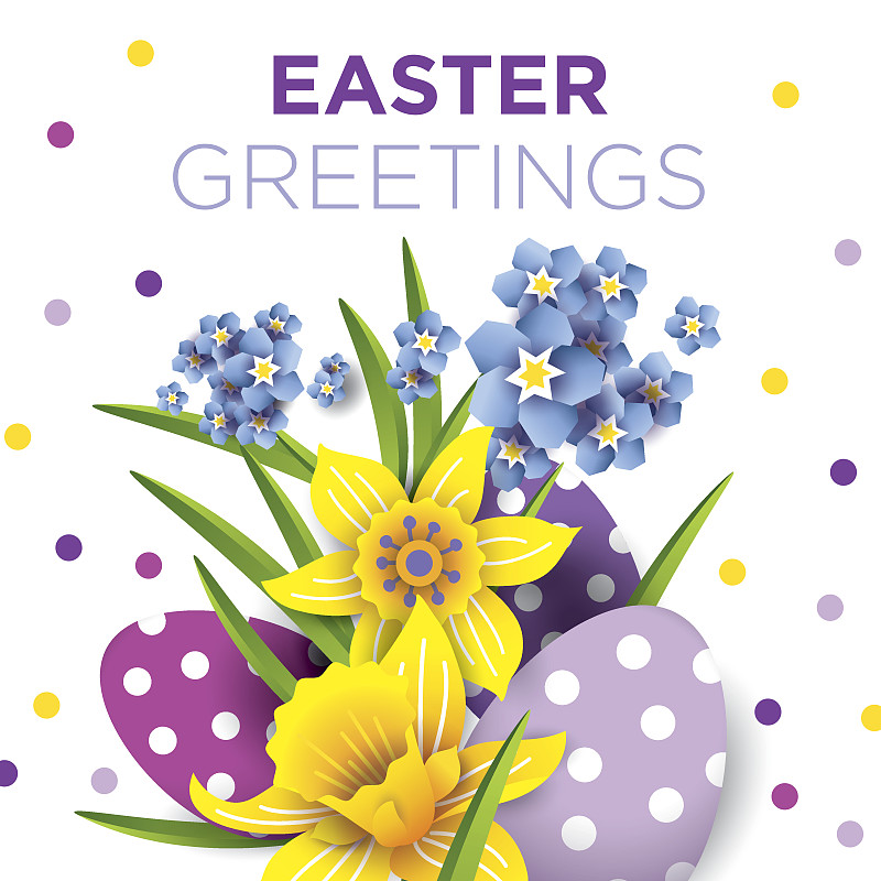 复活节贺卡。矢量插图的花束。水仙花和复活节彩蛋在白色的背景。图片下载